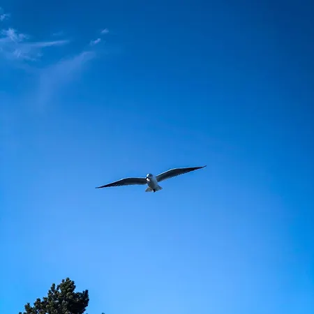 Gluexx Lejlighed Ulstrupfeld