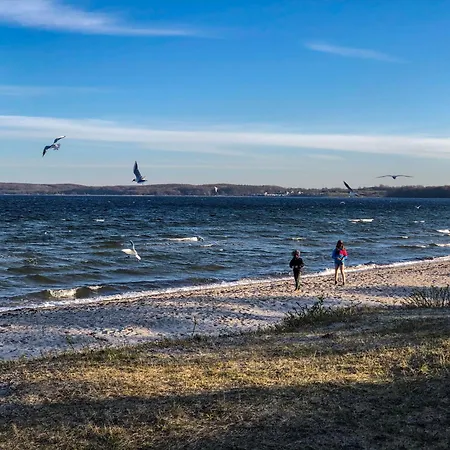 Gluexx Lejlighed Ulstrupfeld